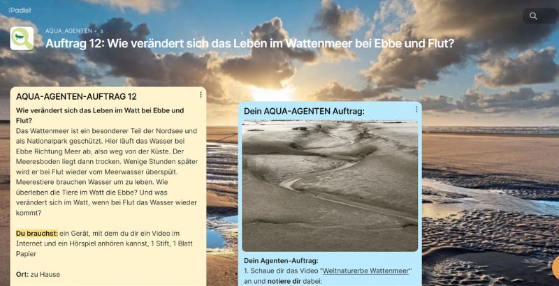 AQUA-AGENTEN Padlet Auftrag 12